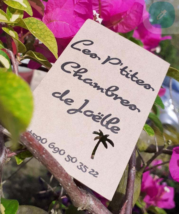 P'Tites Chambres Dans La Campagne De Marie Galante Grand-Bourg  Eksteriør bilde